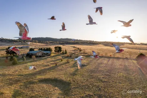 Property photo of 5 Biilmann Close Berridale NSW 2628