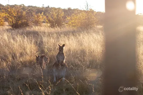 Property photo of 5 Biilmann Close Berridale NSW 2628