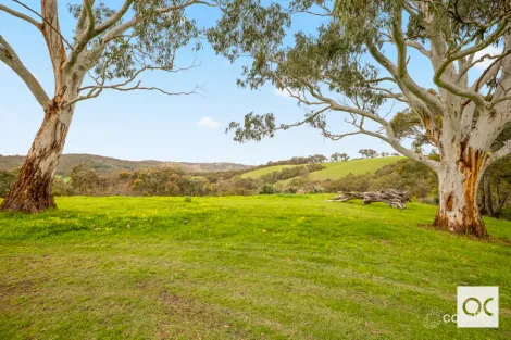 Property photo of 107 Scott Road Yundi SA 5172