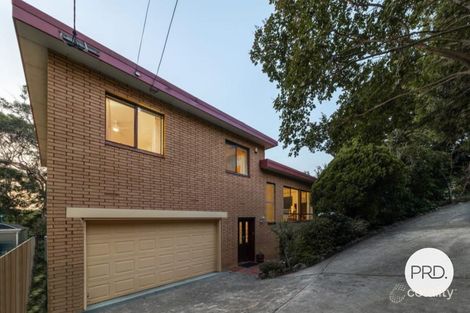 Property photo of 10 Maple Street Lugarno NSW 2210