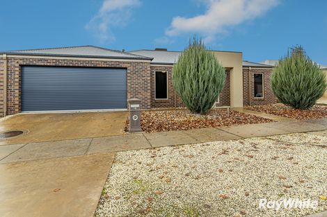 18 Sylvan Rtt, White Hills, VIC 3550