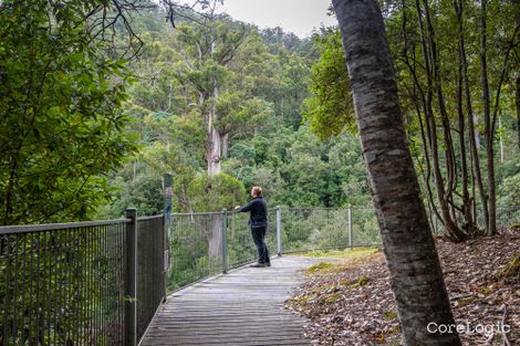 Property photo of 300 Browns Road Ranelagh TAS 7109