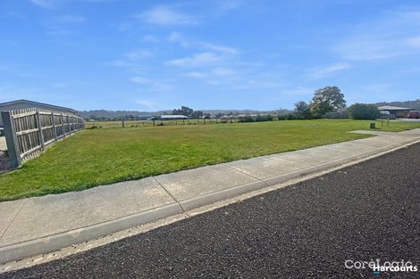 Property photo of 13 Palm Court St Helens TAS 7216