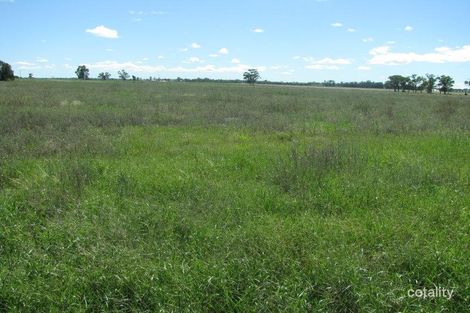 Property photo of 200 Old Backwater Road Narromine NSW 2821