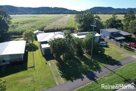 Property photo of 50 Alchera Drive Mossman QLD 4873