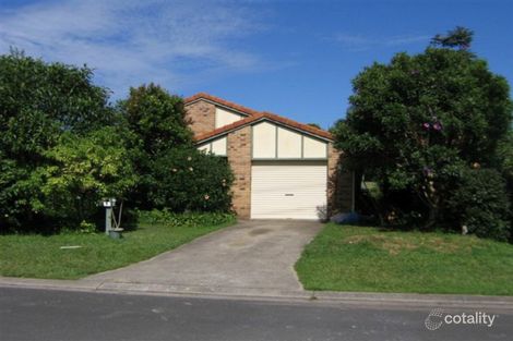 Property photo of 6 Pine Avenue Mullumbimby NSW 2482