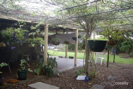 Property photo of 19 Palm Meadows Place Pialba QLD 4655