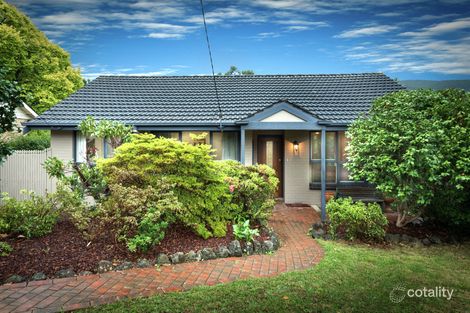 Property photo of 13 Thelma Avenue Boronia VIC 3155