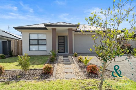 Property photo of 12 Portmarnock Close Medowie NSW 2318