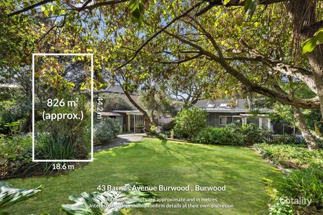 43 Barnes Ave, Burwood, VIC 3125
