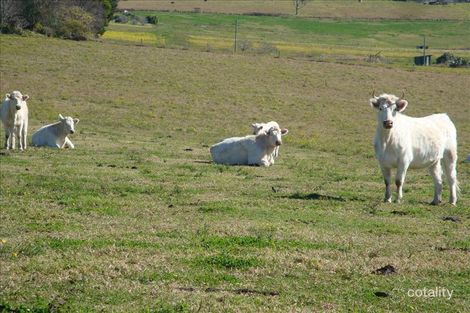 920 Barkers Lodge Rd, Mowbray Park, NSW 2571