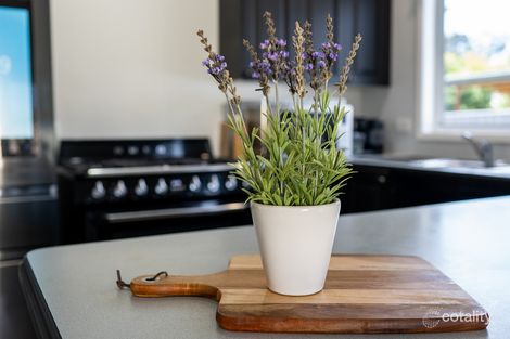 Property photo of 3 Surf Street Long Jetty NSW 2261