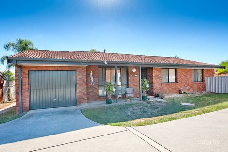 3/581 Webb St, Lavington, NSW 2641