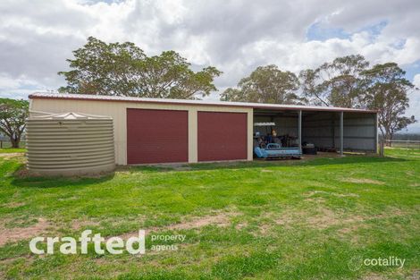 Property photo of 203 Amiens Road Gleneagle QLD 4285