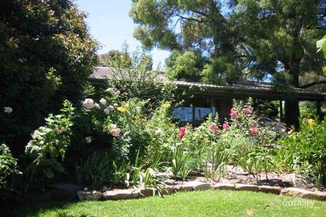Property photo of 5 Wattle Crescent Tea Tree Gully SA 5091
