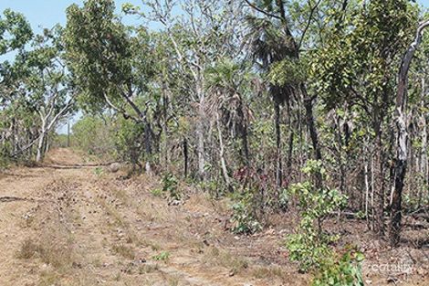 Property photo of 55 Milne Road Bynoe NT 0822