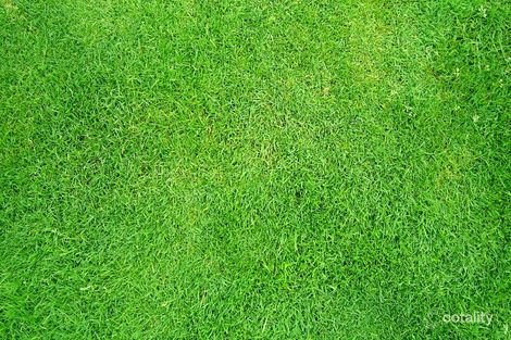 44 Tucker Bvd, Carrum Downs, VIC 3201