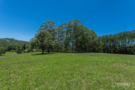 Property photo of 96 Repentance Creek Road Rosebank NSW 2480