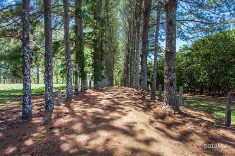 Property photo of 96 Repentance Creek Road Rosebank NSW 2480