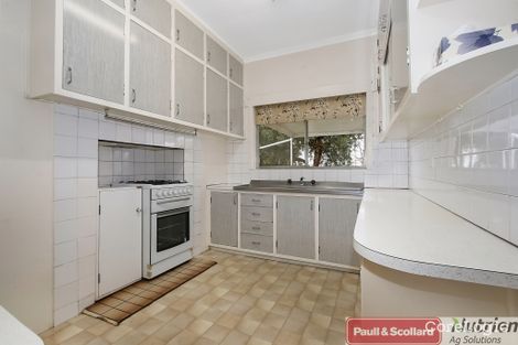Property photo of 12 Macbean Street Culcairn NSW 2660