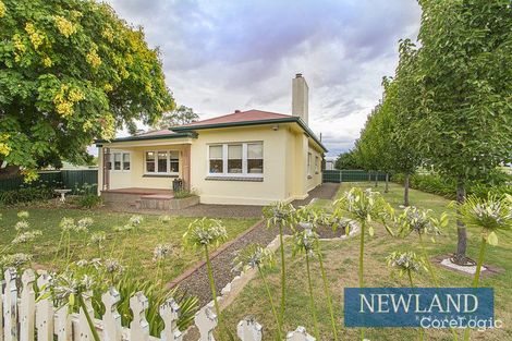 17 Park Rd, Angaston, SA 5353