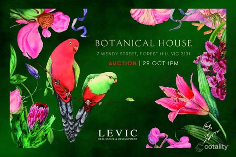 Property photo of 7 Wendy Street Forest Hill VIC 3131