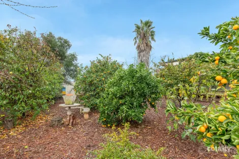 Property photo of 11 Beatrix Drive Craigmore SA 5114
