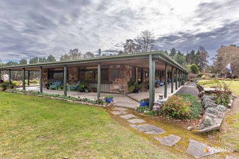 49 Tantawangalo Lane, Tantawangalo, NSW 2550