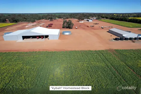 4118 Peak Hill-Tullamore Rd, Trundle, NSW 2875