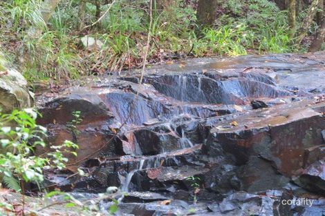 Property photo of 1355 Tyalgum Road Tyalgum NSW 2484