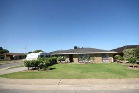 45 Spruce Ave, Warradale, SA 5046