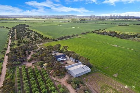Property photo of 331 Fairlie Road Ward Belt SA 5118