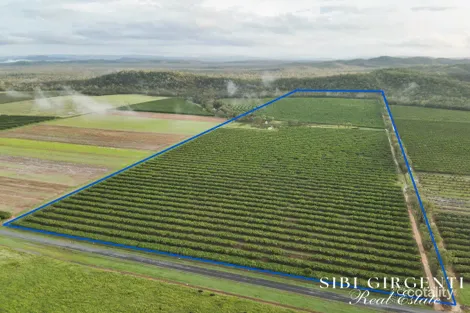 Property photo of 71 Gilmore Road Mareeba QLD 4880