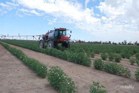 4149 Oxley Hwy, Collie, NSW 2827