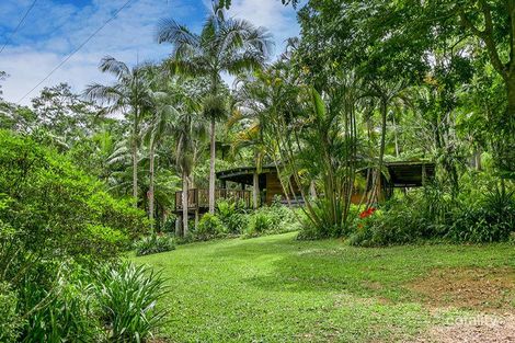 321 Coopers Creek Rd, Upper Coopers Creek, NSW 2482