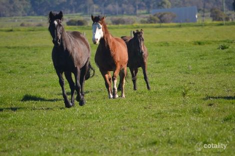 470 Riverdale Rd, Cookernup, WA 6219