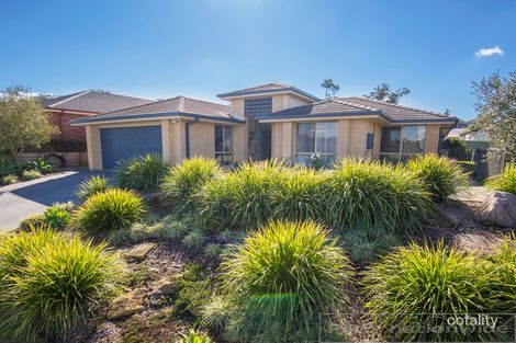 Property photo of 86 Ballydoyle Drive Ashtonfield NSW 2323