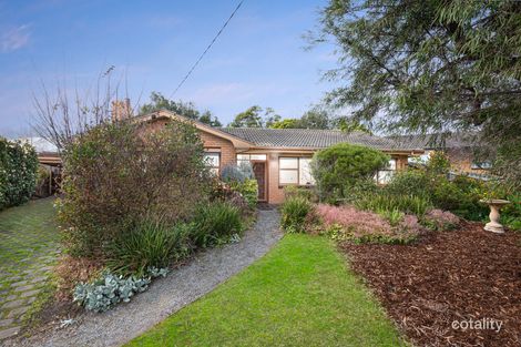 51 Moreton Bay Dr, Highton, VIC 3216