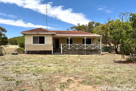 9 Burn St, Northam, WA 6401