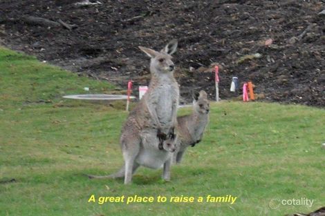 Property photo of 4 Warren Court Aroona QLD 4551