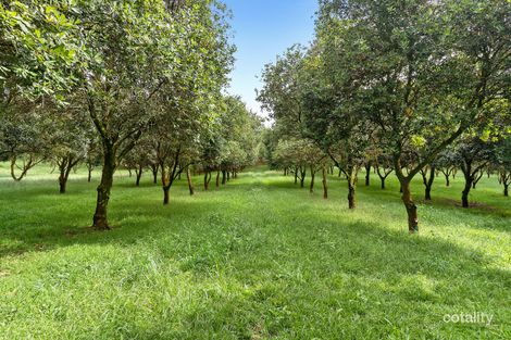 Property photo of 423 Friday Hut Road Brooklet NSW 2479