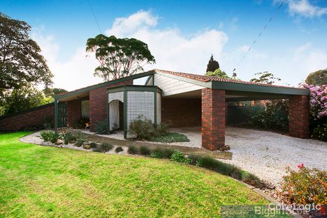 Property photo of 29 Larnook Crescent Aspendale VIC 3195