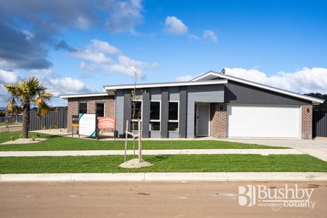 50 Enterprize Dr, Youngtown, TAS 7249