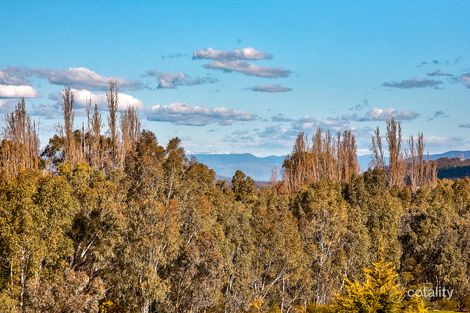 Property photo of 77 Michelle Avenue Lavington NSW 2641