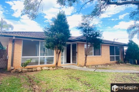 Property photo of 3 Pamela Close Bateau Bay NSW 2261