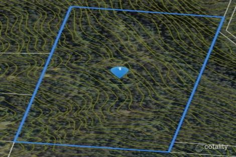 925 O'Neill Rd, Bentley, NSW 2480