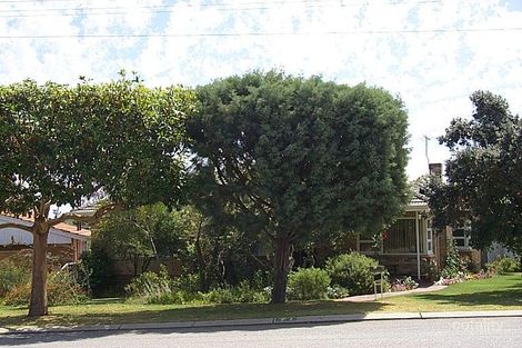 71 Milton St, Yokine, WA 6060