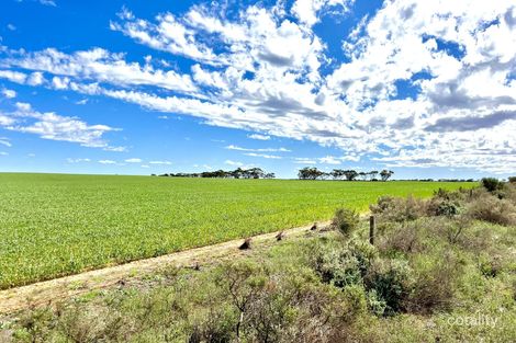 2944 Otc Rd, Wandana, SA 5690