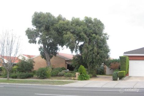 33 Reema Bvd, Endeavour Hills, VIC 3802