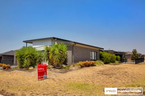 Property photo of 41 Warrah Drive Calala NSW 2340